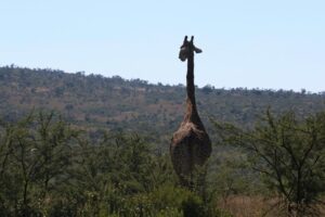 hidden gems to explore